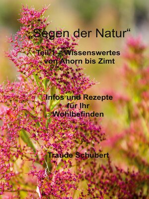 cover image of Segen der Natur--Teil 1